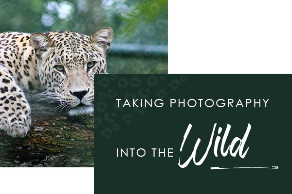 Taking Photography into the Wild